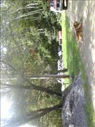 080510_1117[02]